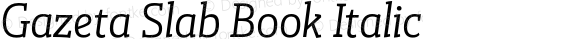 Gazeta Slab Book Italic