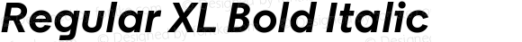 Regular XL Bold Italic