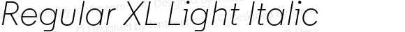 Regular XL Light Italic