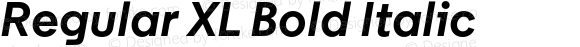 Regular XL Bold Italic
