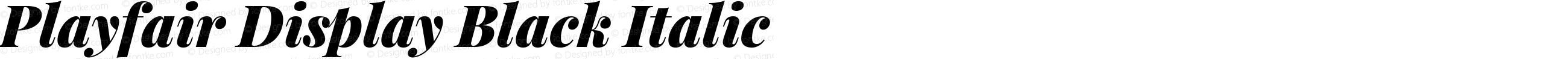 Playfair Display Black Italic