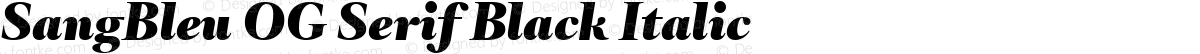 SangBleu OG Serif Black Italic