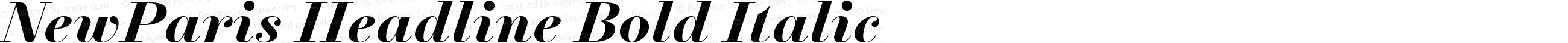 NewParis Headline Bold Italic