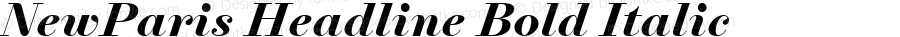 NewParis Headline Bold Italic