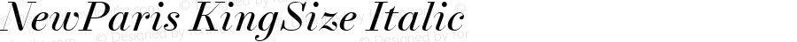 NewParis KingSize Italic