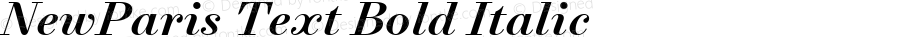 NewParis Text Bold Italic