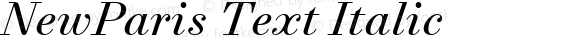 NewParis Text Italic