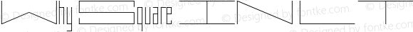 Why Square IN LT Std Ultra Light