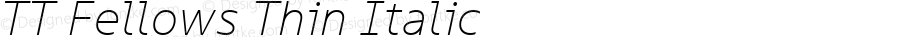 TT Fellows Thin Italic