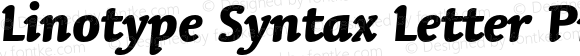Linotype Syntax Letter Pro Heavy Italic