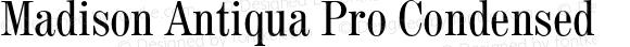 Madison Antiqua Pro Condensed