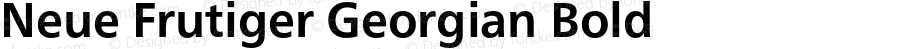 Neue Frutiger Georgian Bold