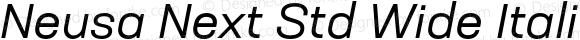 Neusa Next Std Wide Italic