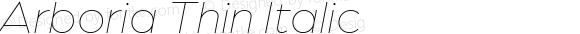 Arboria Thin Italic