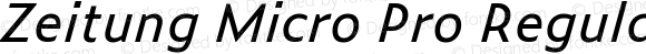 Zeitung Micro Pro Regular Italic