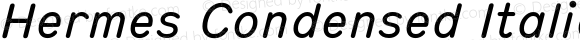 Hermes Condensed Italic