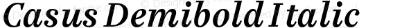 Casus Demibold Italic