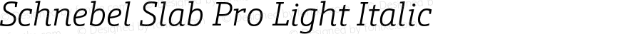 Schnebel Slab Pro Light Italic