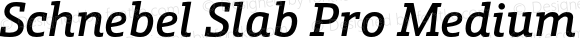 Schnebel Slab Pro Medium Italic