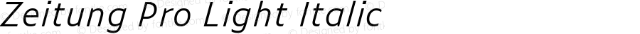 Zeitung Pro Light Italic
