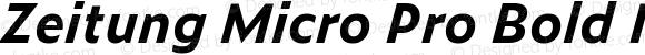 Zeitung Micro Pro Bold Italic