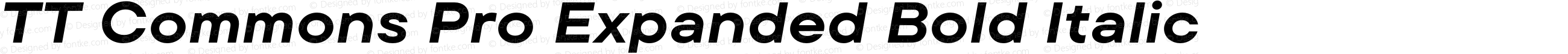 TT Commons Pro Expanded Bold Italic