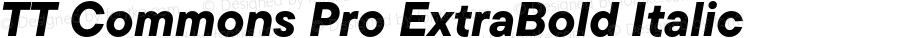 TT Commons Pro ExtraBold Italic