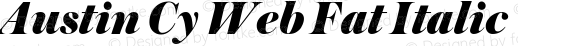 Austin Cy Web Fat Italic