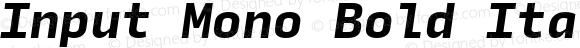 Input Mono Bold Italic