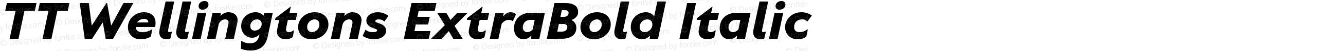 TT Wellingtons ExtraBold Italic