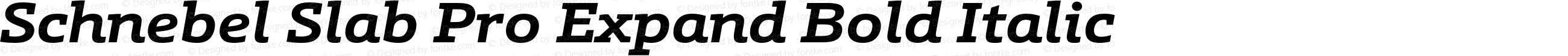 Schnebel Slab Pro Expand Bold Italic