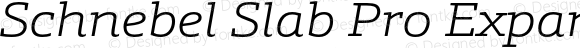 Schnebel Slab Pro Expand Light Italic