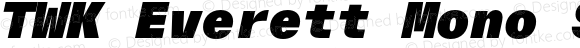 TWK Everett Mono Super Italic