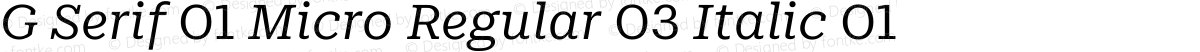 G Serif 01 Micro Regular 03 Italic 01