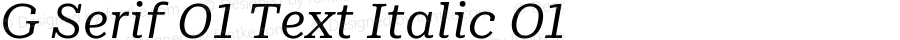 G Serif 01 Text Italic 01