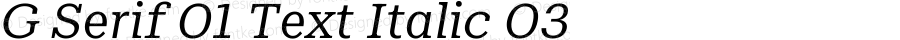 G Serif 01 Text Italic 03