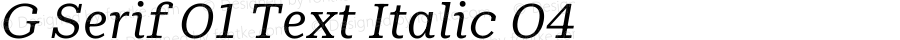 G Serif 01 Text Italic 04