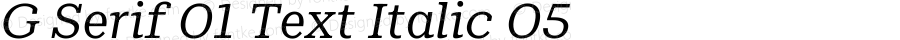 G Serif 01 Text Italic 05