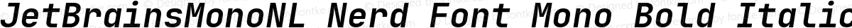 JetBrainsMonoNL Nerd Font Mono Bold Italic