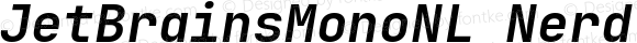 JetBrains Mono NL Bold Italic Nerd Font Complete Mono