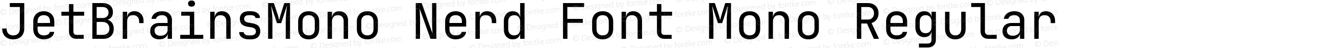 JetBrains Mono Regular Nerd Font Complete Mono
