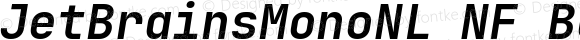 JetBrainsMonoNL NF Bold Italic