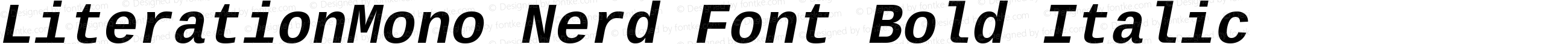 LiterationMono Nerd Font Bold Italic