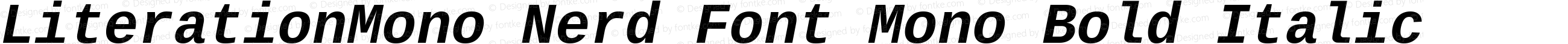 LiterationMono Nerd Font Mono Bold Italic