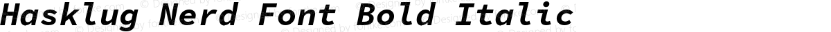 Hasklug Nerd Font Bold Italic