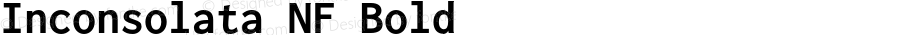 Inconsolata Bold Nerd Font Complete Mono Windows Compatible
