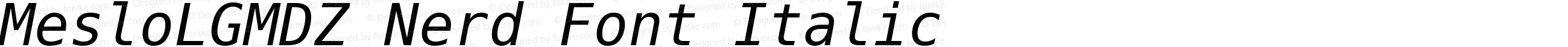 Meslo LG M DZ Italic Nerd Font Complete