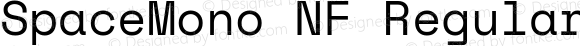 Space Mono Nerd Font Complete Mono Windows Compatible