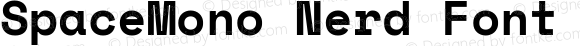 SpaceMono Nerd Font Bold