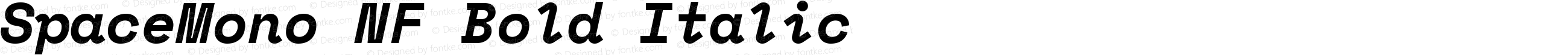 Space Mono Bold Italic Nerd Font Complete Mono Windows Compatible